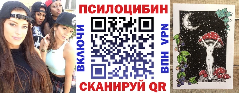 shop Telegram  Суджа  Псилоцибиновые грибы ЛСД  мега ONION 